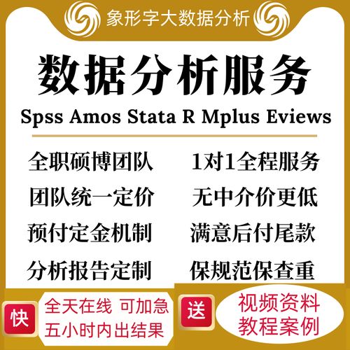 spss数据分析服务stata实证处理eviews统计amos调查问卷代做r调整